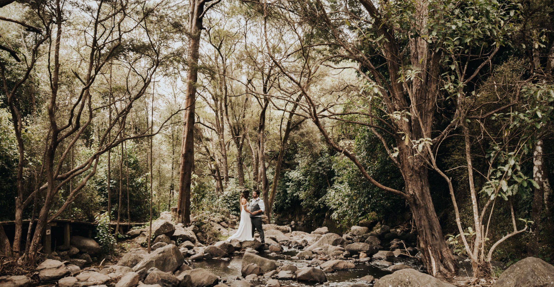 Bride and groom pose in woodlands in New Zealand - Wedding Photography by Tracey Allsopp